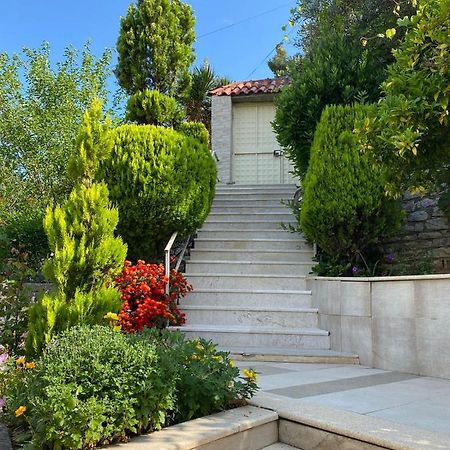 Marl'S Home Berat Dış mekan fotoğraf