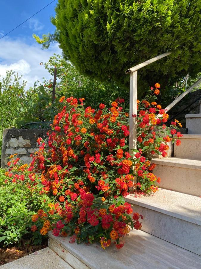 Marl'S Home Berat Dış mekan fotoğraf