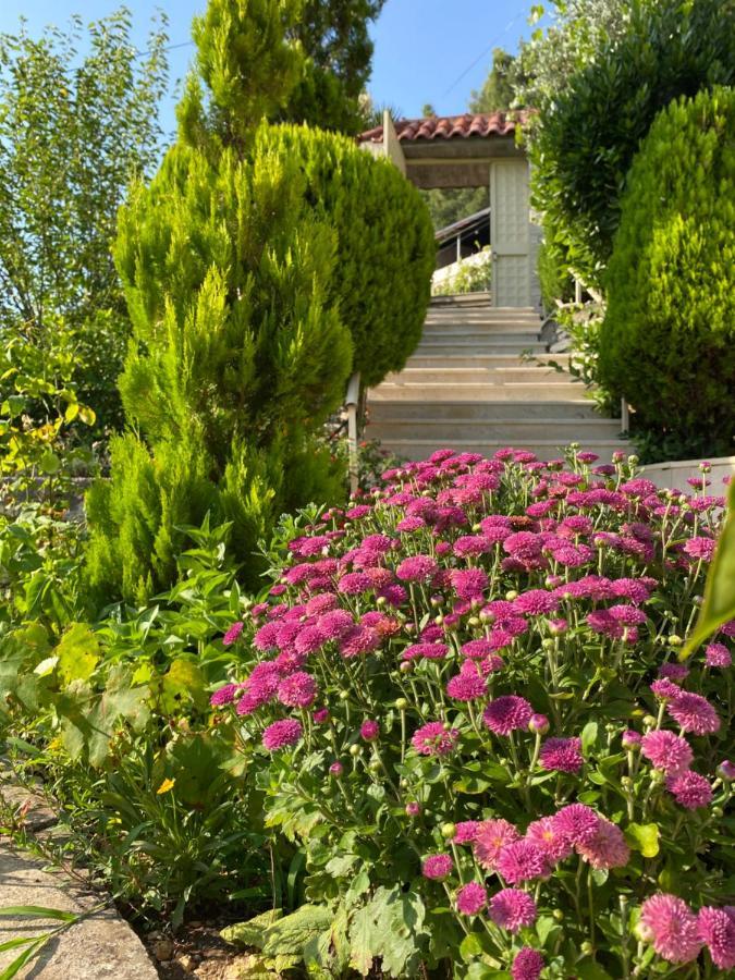 Marl'S Home Berat Dış mekan fotoğraf